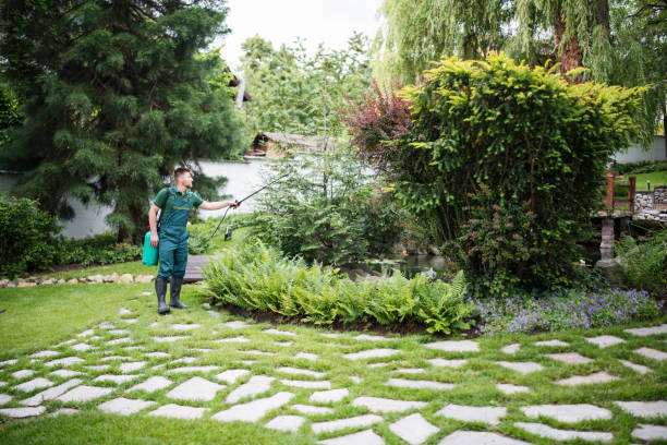 Best Pest Control Near Me  in Gold Key Lake, PA