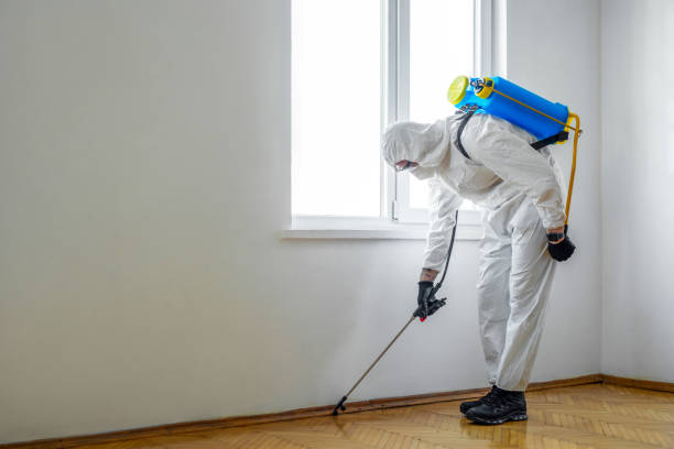 Best Affordable Pest Control Services  in Gold Key Lake, PA