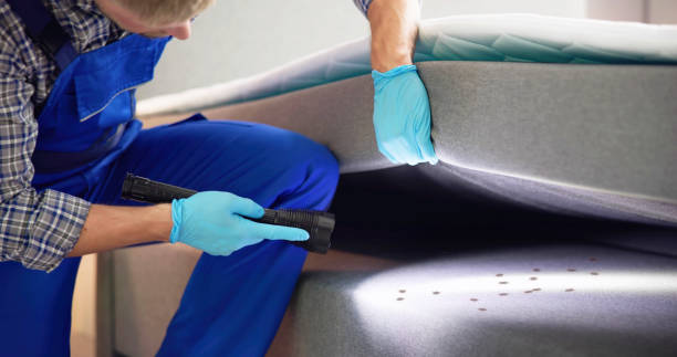 Best Affordable Pest Control Services  in Gold Key Lake, PA